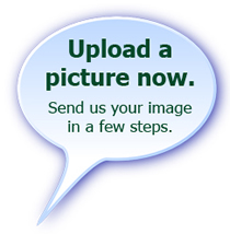 picture hut